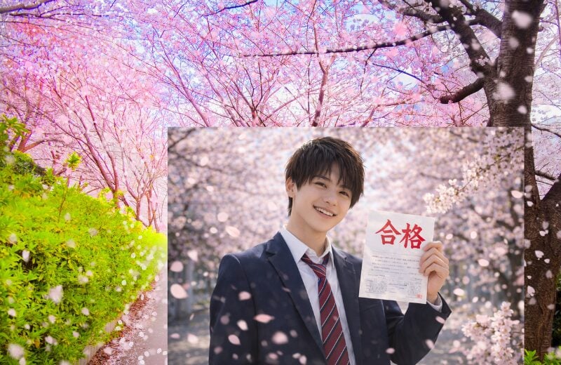 🌸保護者の声（薬学部推薦合格）